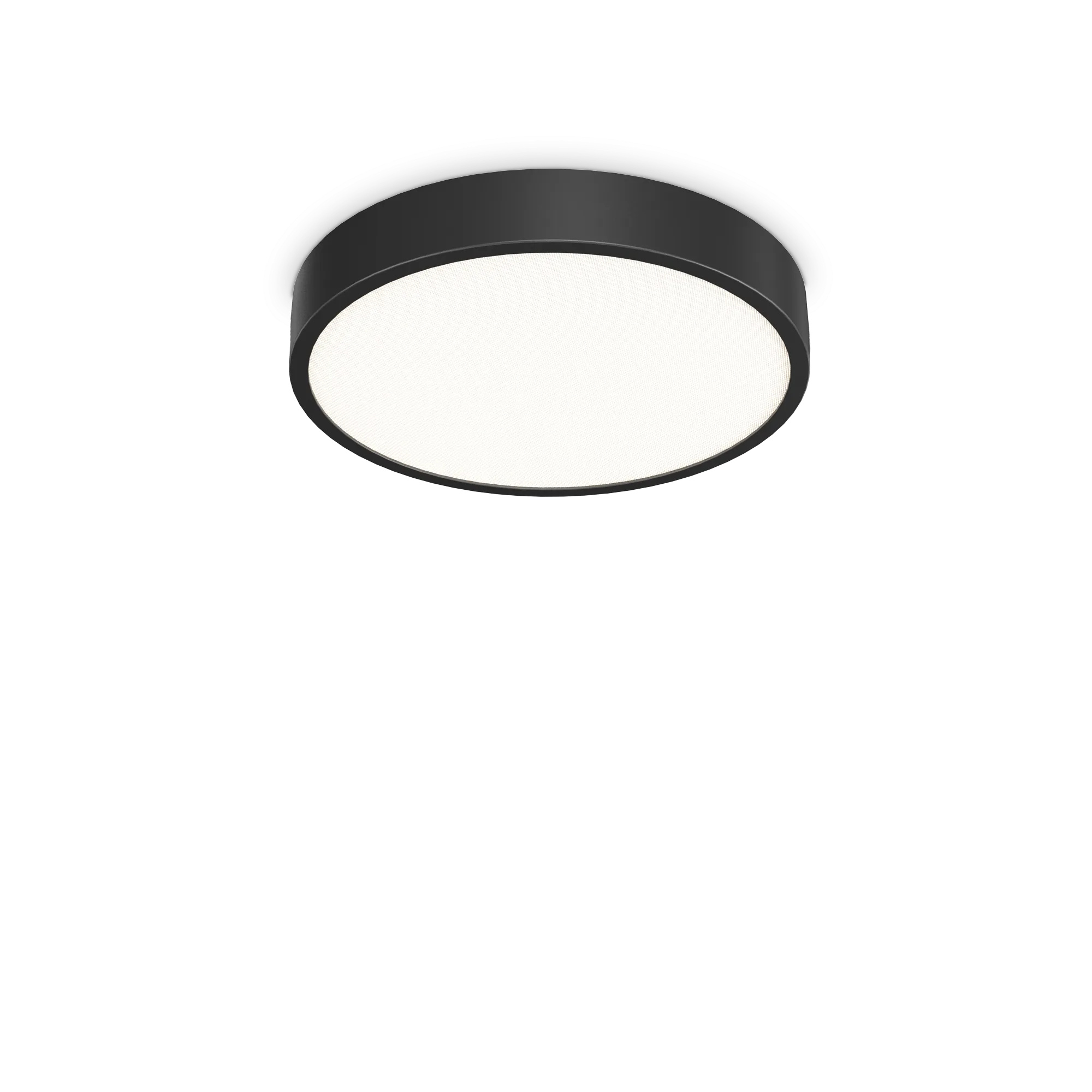 Ray PL D40 потолочный светильник