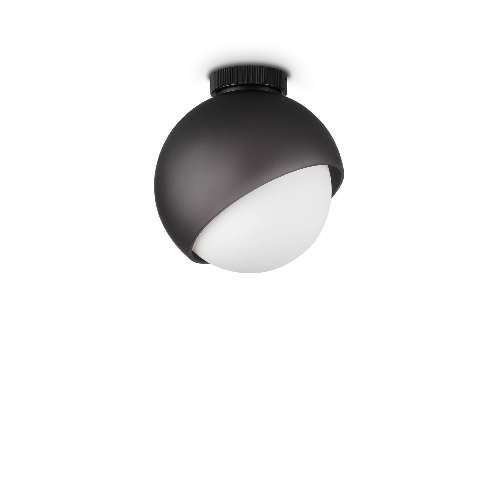 Bloom PL1 D22 потолочный светильник