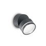 Иконка Ideal Lux 172552 OMEGA ROUND AP1 ANTRACITE уличный накладной светильник 